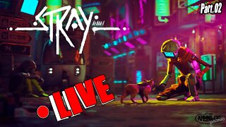 Stray - Miau miauu (Bom diaa !) [PS4 Pro]