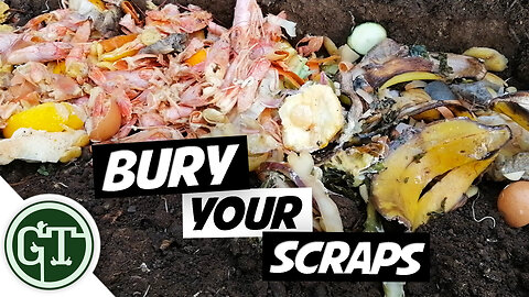 Bury Kitchen Scraps Directly in Garden Soil and this Happens