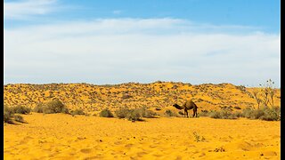 Rhythm of Agadir