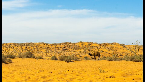 Rhythm of Agadir