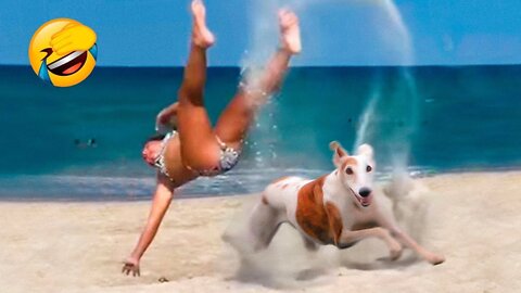 Funny Animals Video - Best Cats😹 and Dogs🐶 Videos of the Month 2022! #19