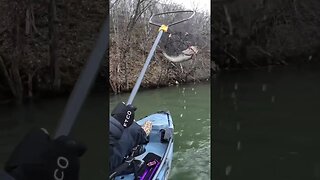 Super Cold Water Bass SMASHES Crankbait