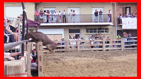 MURILLO EL FRUTO ( NAVARRA ) TARDE VACAS CALLE Y PLAZA ( DOMINGO 3 SEPTIEMBRE 2023 ) GANAD.ARRIAZU