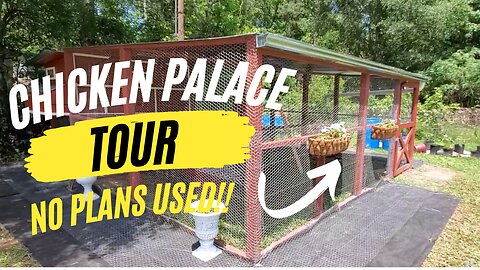 Amazing Chicken Coop, House, Palace, Run