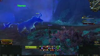 A Sacrifice of Anima WoW Shadowlands Quest completionist guide