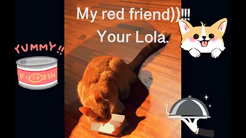 When you’re a red dog corgi and you have red friends))) )))