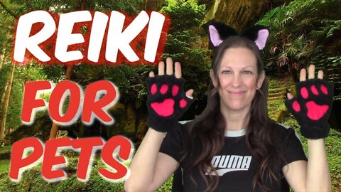 Reiki For Pets + Wild Animals With Sound Therapy Designed For Animals