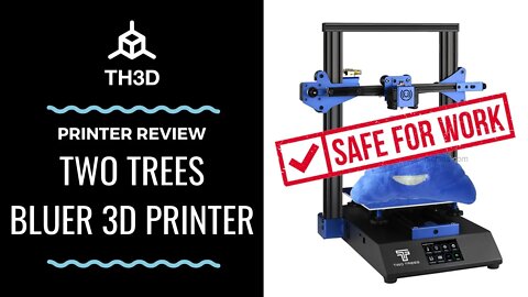 Two Trees Bluer 3D Printer Review - SFW Version