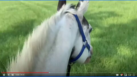 3 of 7 - Answering Questions for Lester With The Pink Pad Riding Voodoo/Pressure & Release