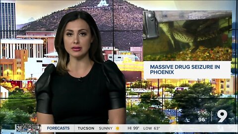 Police seize fentanyl pills, cocaine, firearms, cash and a juvenile crocodile in Phoenix