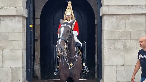 Tourist told twice to let go of the reins #horseguardsparade