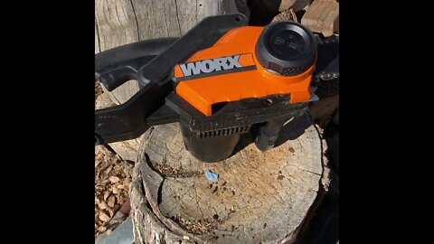 BEST $60 CHAINSAW?