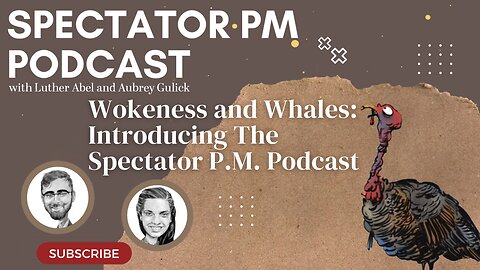 Wokeness and Whales: Introducing The Spectator P.M. Podcast