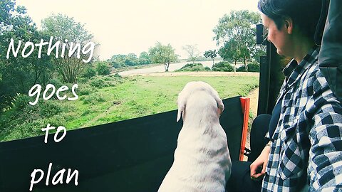 Nothing goes to plan | Vanlife with dogs