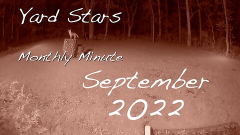 Yard Stars - The Monthly Minute (September 2022)