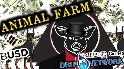 THE ANIMAL FARM’S FIRST 24HRS | RECAP OF LAUNCH & STATUS REPORT | CURRENT STRATEGY FWD