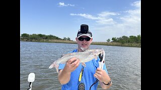 Can You Catch Catfish on Lures?