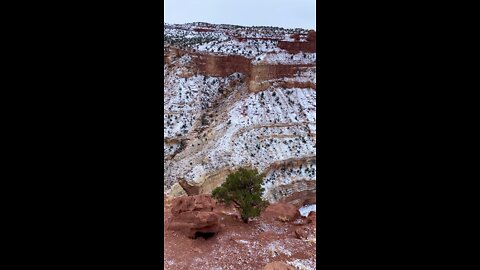 Capitol Reef National Park