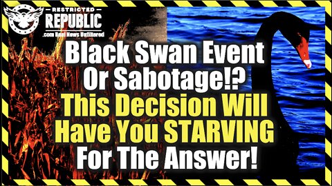 Black Swan Event Or Sabotage?! This Decision Will Have You STARVING For The Answer!