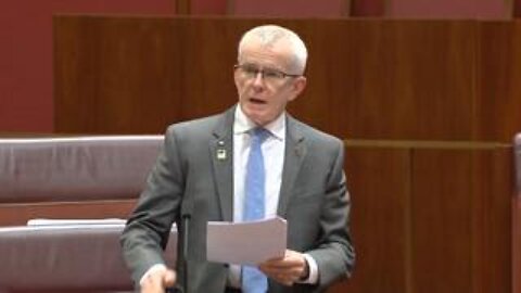 Royal Commission 'Terms Of Reference' Motion Passes The Senate | Senator Malcolm Roberts