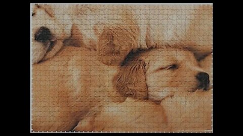 Impossibles Puzzle: Sleeping Puppies Time Lapse