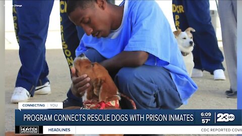 Tehachapi dog rescue Marley's Mutts creating Pawsitive Change for inmates, dogs