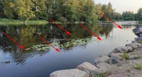 How to find and catch fish in new places of the shore or stream