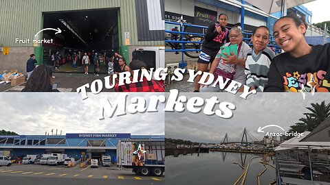 Touring Sydney's famous fish market🐟| Flemington Market