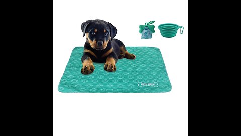 Review Kluein Pet Training Pads for Dogs Non-Slip Absorbent