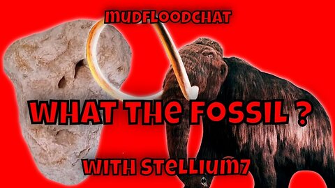 Cosa è un fossile ?! - Chiacchierata sull'inondazione di fango con Stellium7 (Philipp Druzhinen)
