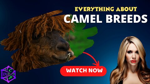 Top 10 Camel Breeds