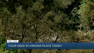 Plane 'destroyed' after crashing in rural Virginia, killing 4