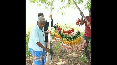 Village Food