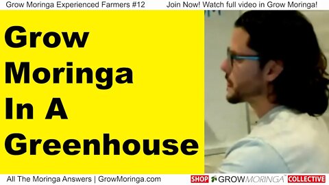 Grow Moringa In Greenhouse