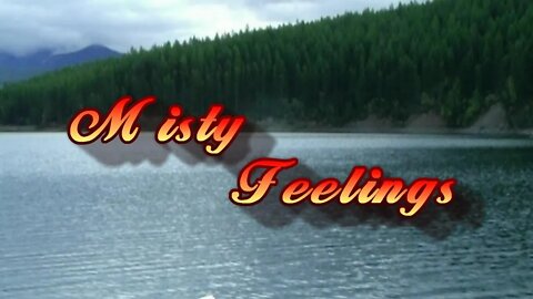 Misty Feelings