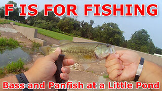 Bass and Panfish at a Little Pond