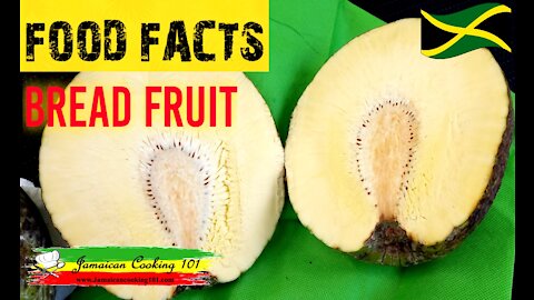 THE BREAD FRUIT (JAMAICAN FOOD FACTS )
