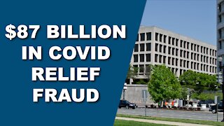 Unemployment Fraud in the Billions!