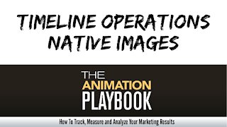 The Animation Playbook - Timeline Operations Native Images