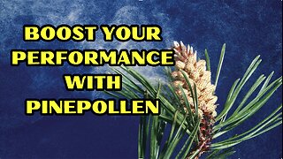 Boost Your Performance With Pine Pollen