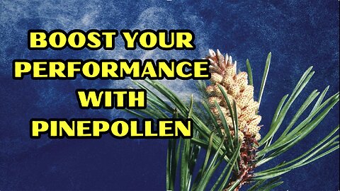 Boost Your Performance With Pine Pollen