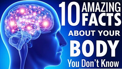 10 Amazing Facts About The Human Body You Must know