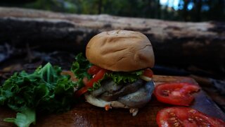 Lion's Mane Mushroom Sandwich Recipe. Foraging edible mushrooms and bushcraft cooking.