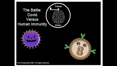 Covid Vaccines & You - How human immunity battles Covid