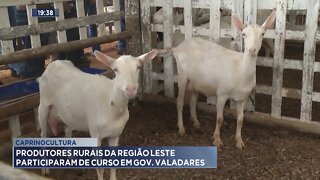 Caprinocultura: Produtores Rurais da Região Leste participaram de Curso em Gov. Valadares.