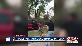 Future police and military K9s train in Tulsa