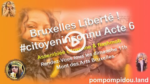 Bruxelles Liberté ! #citoyeninconnu​ Acte 6