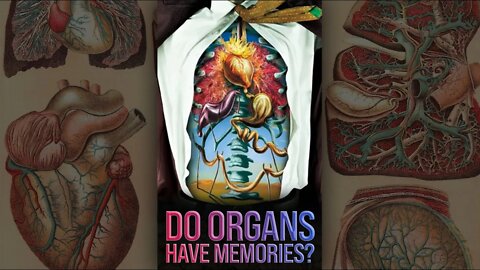 Do Organs Have Memories? 🤯 #shorts