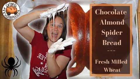 Chocolate Almond Spider Bread | Halloween | Fresh Milled Flour