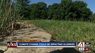 Climate change could be impacting allergies